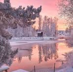 Elizabeth DeShields - Facebook