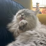 Elizabeth DeVall - @lizabetty.1 - Instagram