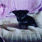 elizabeth - @elizabeth_deville_1098 - Instagram
