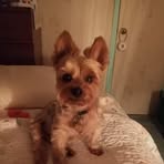 Elizabeth DeVivo - Facebook