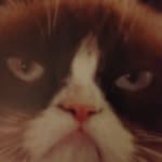 Ęłįżãbêth & Dęvõń - @memeymcmemester - Instagram
