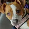 Elizabeth Dunham - @elizabethdunham4 - TikTok