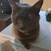 Elizabeth Dunham - Facebook