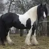 elizadutkiewicz - @elizadutkiewicz - TikTok
