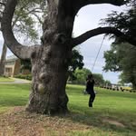 Elizabeth Eames - @awdrye - Instagram