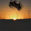 Elizabeth Eason - @elizabetheason_7422 - TikTok