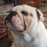 Elizabeth Anne Ebert - @elizabeth.a.ebert - Instagram