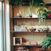 Abner Lizzie - Facebook
