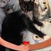 Elizabeth Ebright - Facebook