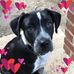 Elizabeth Echols - Facebook