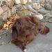 Elizabeth Eckert - Facebook