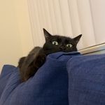 Elizabeth Eckert - @takemetoyourlizard - Instagram