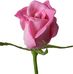The Elizabeth A. Eddleman Foundation - Facebook
