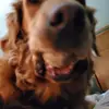 plive - @elizabethehrlichm - TikTok