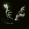 elizabethheisler9 - @elizabethheisler9 - TikTok