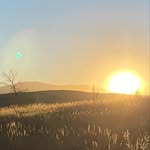 Elizabeth Embry - @eclarkembry - Instagram