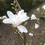 Elizabeth Ann Engels - @elizengl - Instagram