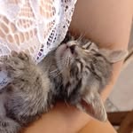 Eli_13 - @elizabethester83 - Instagram