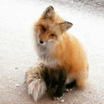 Elizabeth Ester Bednarova - @__eli__ester__ - Instagram