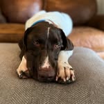 Elizabeth Eubank - @little_tater_big_farm - Instagram