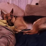 Elizabeth Euler - Facebook