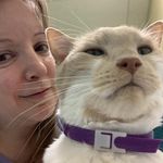 Elizabeth Flagg - @lillyflagg - Instagram