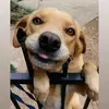 elizabeth flecha - @elizabethflechaa - TikTok