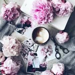 @elizabeth_fly - Instagram