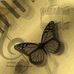 Elizabeth Fly - Facebook