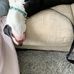 Elizabeth Fly - Facebook