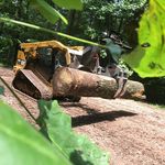 McClure Timber & Land - @elizabethforestproductsllc - Instagram