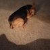 Elizabeth Frady - Facebook