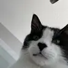 Elizabeth - @elizabethfrances94 - TikTok