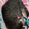 Elizabeth - @elizabeth_fun0 - TikTok