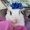 elizabethgary - @elizabethgary - TikTok