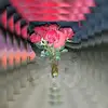 Elizabeth Gatica - @elizabeth.gatica01 - TikTok