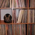 Elizabeth Geist - @vinyl.pursuits - Instagram
