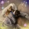 Elizabeth Gerner216 - @elizabethgerner21 - TikTok