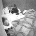 Elizabeth Gerner - Facebook