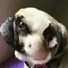 elizabethgerth631 - @elizabethgerth631 - TikTok