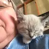 Elizabeth Gillum - @elizabeth.gillum8 - TikTok