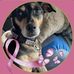 Lizzie Given - Facebook