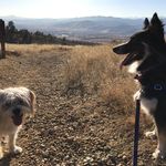 Elizabeth Goad - @danteslyre - Instagram