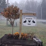 Elizabeth Goad - @the.goad.life.farm - Instagram