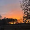 elizabeth_gray94 - @elizabeth_gray94 - TikTok