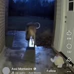 Elizabeth Grega - Facebook