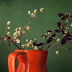Elizabeth Grimsley - @grimsley331 - Instagram