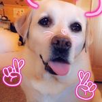 Brielle Elizabeth Grindle - @brielle_grindle - Instagram