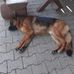 Elisabeth Hackl - Facebook
