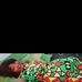 Elizabeth Hackman - Facebook